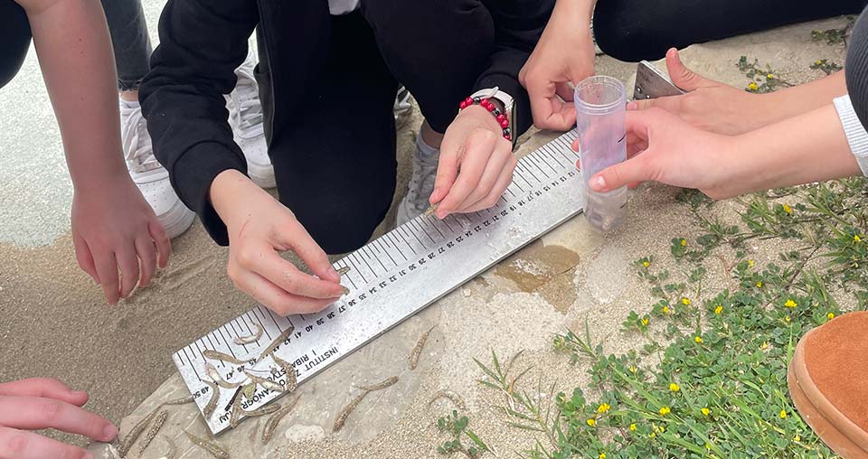 Poziv na javnu prezentaciju projekta AQUA MERITUM